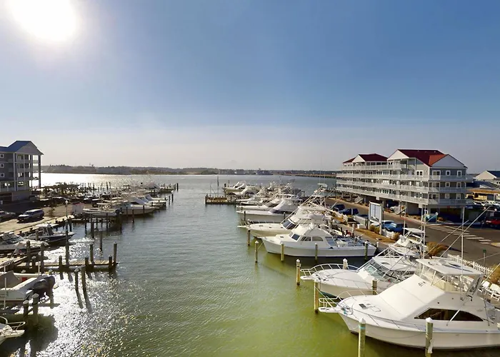 Apartment White Marlin 308b Ocean City